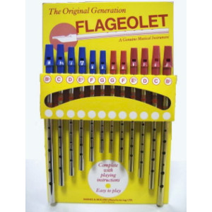 Expositor completo Flauta Flageolet