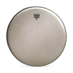 Parche Remo Ambassador Renaissance 22