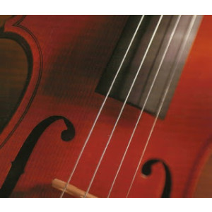 Juego Cuerdas Violín 