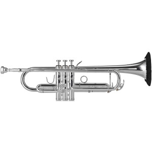 Protector Campana Trompeta Denis Wick DW-ABM1